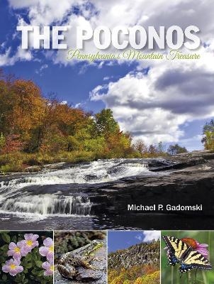 The Poconos - Michael P. Gadomski