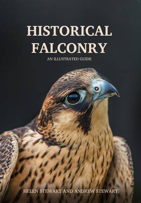 Historical Falconry -  Helen and Andrew Stewart