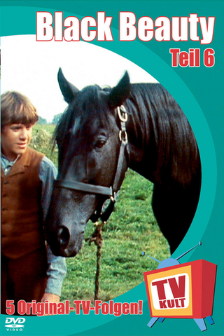 Black Beauty - DVDs