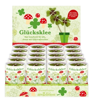 Displ. Glücksklee 20 Ex.