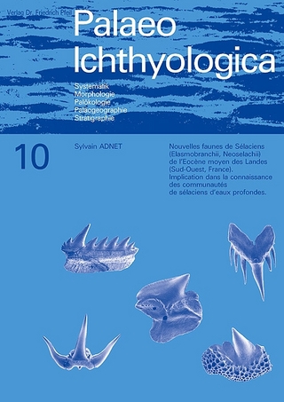 Nouvelles faunes de Sélaciens (Elasmobranchii, Neoselachii) de l’Eocène moyen des Landes (Sud-Ouest, France)