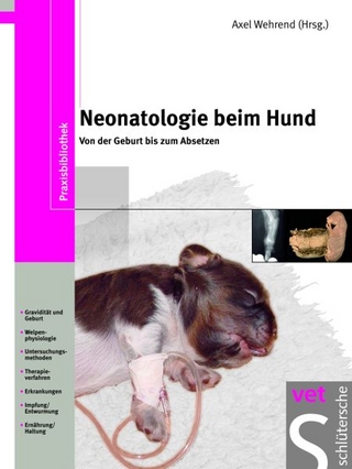 Neonatologie beim Hund