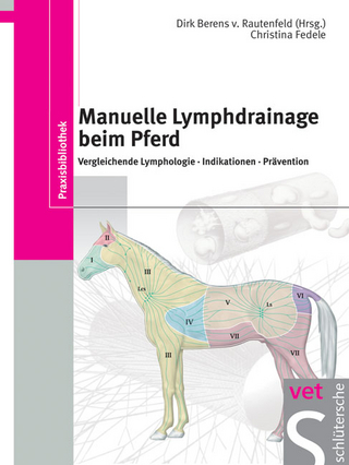 Manuelle Lymphdrainage beim Pferd