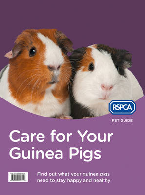 Care for Your Guinea Pigs -  RSPCA