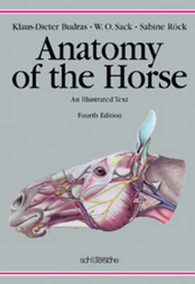 Anatomy of the Horse - Klaus D Budras, W O Sack, Sabine R&ouml;ck