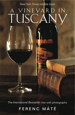 A Vineyard in Tuscany