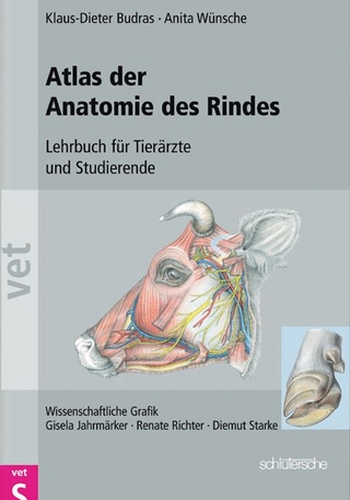Atlas der Anatomie des Rindes
