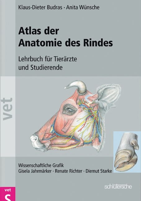 Atlas der Anatomie des Rindes - Klaus D Budras, Silke Buda