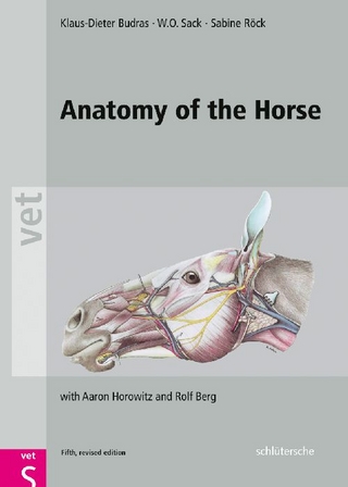 Anatomy of the Horse