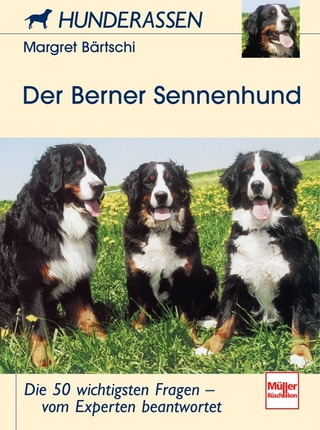 Der Berner Sennenhund