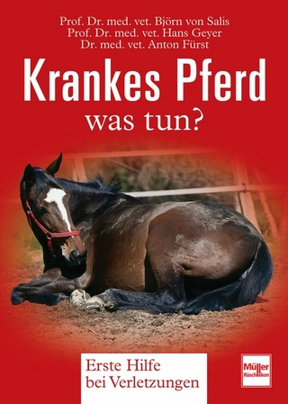 Krankes Pferd - was tun?