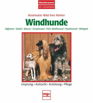 Windhunde - Afghane/Saluki/Barsoi/Greyhound/Irish Wolfhound/Deerhound/