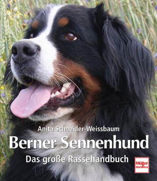 Der Berner Sennenhund