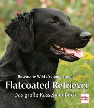 Flatcoated Retriever
