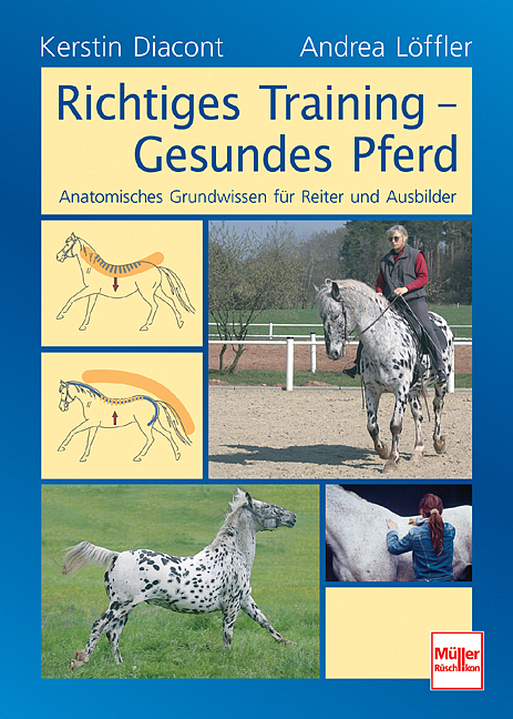 Richtiges Training - Gesundes Pferd - Kerstin Diacont, Andrea L&ouml;ffler