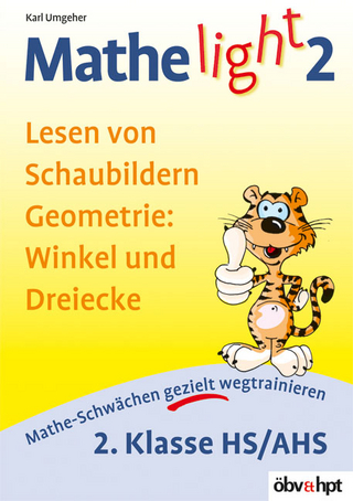 Geometrie: Winkel und Dreiecke, Lesen von Schaubildern