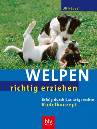 Welpen richtig erziehen