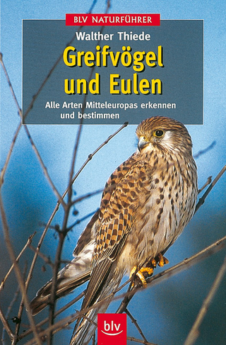 Greifvögel und Eulen