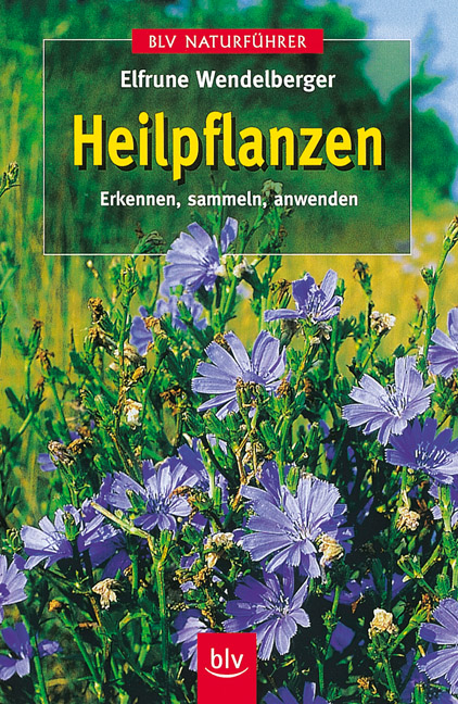 Heilpflanzen - Elfrune Wendelberger