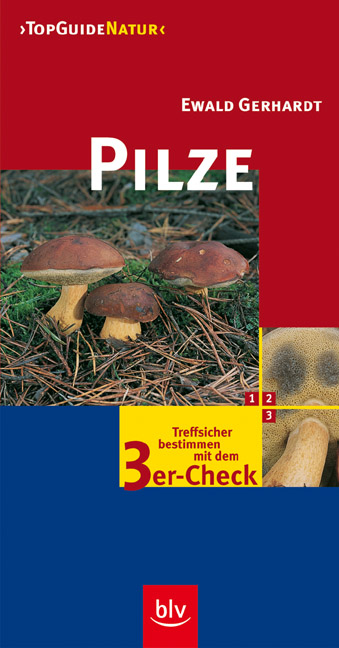 Pilze - Ewald Gerhardt