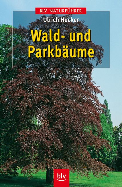 Wald- und Parkb&auml;ume - Ulrich Hecker