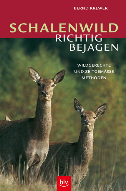 Schalenwild richtig bejagen - Bernd Krewer