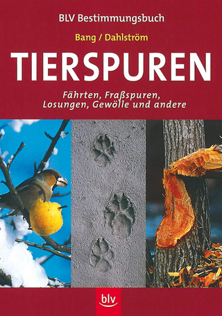 Tierspuren