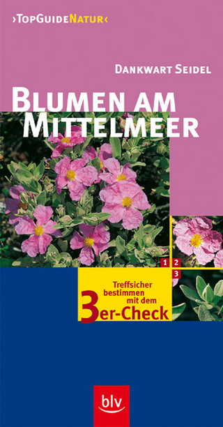 Blumen am Mittelmeer