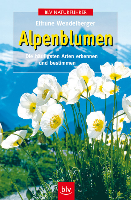 Alpenblumen - Elfrune Wendelberger