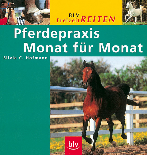 Pferdepraxis Monat f&uuml;r Monat - Silvia C Hofmann