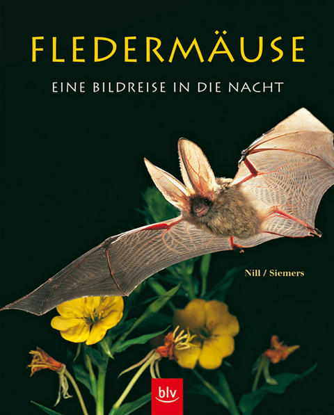 Flederm&auml;use - eine Bildreise in die Nacht - Dietmar Nill, Bj&ouml;rn Siemers