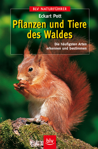 Pflanzen und Tiere des Waldes