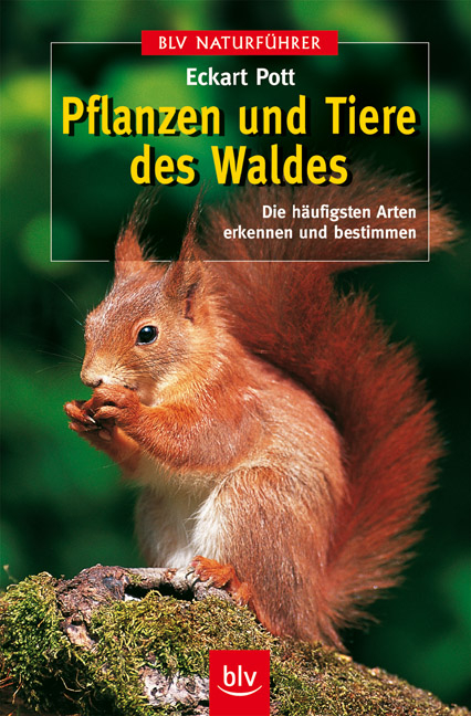Pflanzen und Tiere des Waldes - Eckart Pott