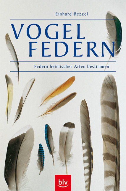 Vogelfedern - Einhard Bezzel