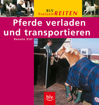 Pferde verladen und transportieren