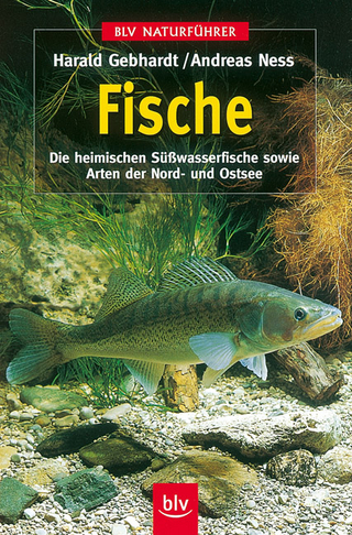 Fische