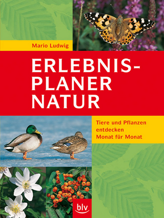 Der Erlebnis-Planer Natur