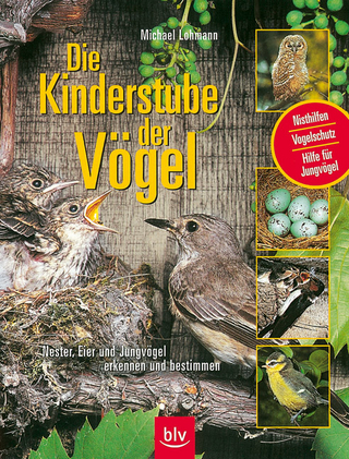 Die Kinderstube der Vögel