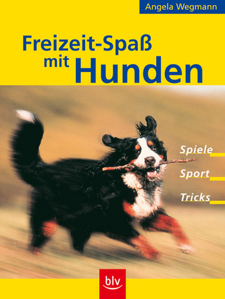 Freizeit-Spass mit Hunden