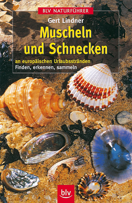 Muscheln und Schnecken - Gert Lindner