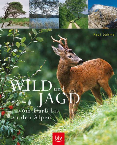 Wild und Jagd - Paul Dahms