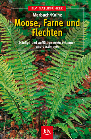 Moose, Farne und Flechten