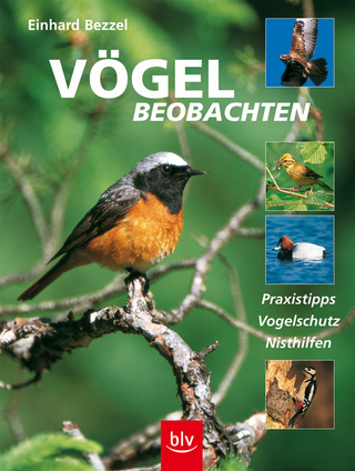 Vögel beobachten