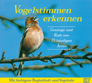 Vogelstimmen erkennen
