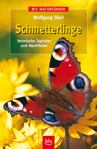 Schmetterlinge