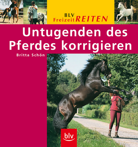 Untugenden des Pferdes korrigieren - Britta Sch&ouml;n