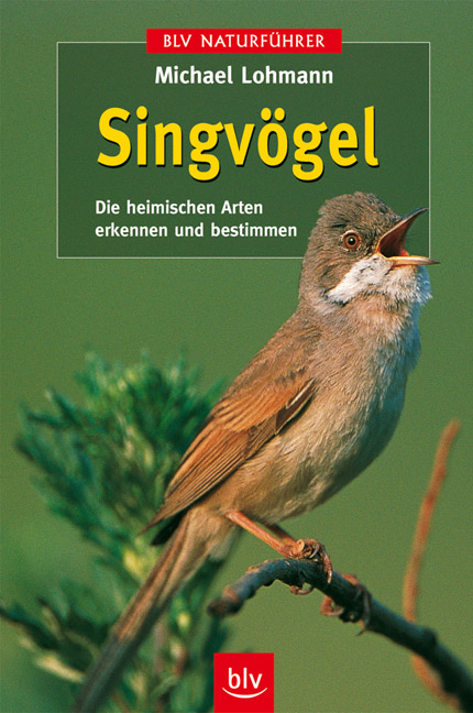 Singv&ouml;gel - Michael Lohmann
