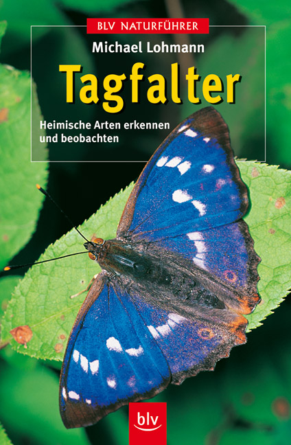 Tagfalter - Michael Lohmann