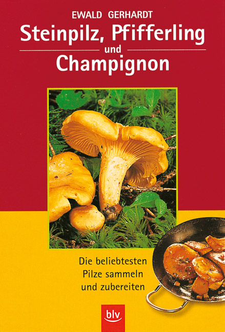 Steinpilz, Pfifferlinge und Champignon - Ewald Gerhardt