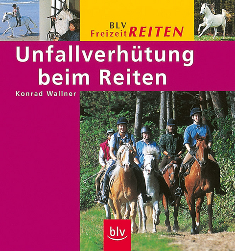 Unfallverh&uuml;tung beim Reiten - Konrad Wallner